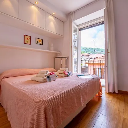 Apartment Amore - Muffy- Phyche